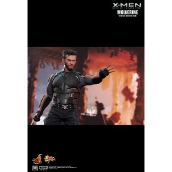 Hot Toys MMS264 X-Men Days of Future Past Wolverine ( Hugh Jackman ) 1/6 Collectible Figurine 30cm
