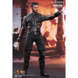 Hot Toys MMS264 X-Men Days of Future Past Wolverine ( Hugh Jackman ) 1/6 Collectible Figurine 30cm