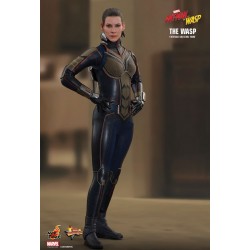 Hot Toys MMS498 Ant-Man & La Guêpe La Guêpe Evangeline Lilly 1/6 Collectible Figurine 29Cm