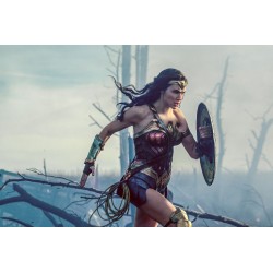 Wonder Woman Amazon - Statue + Steelbook
