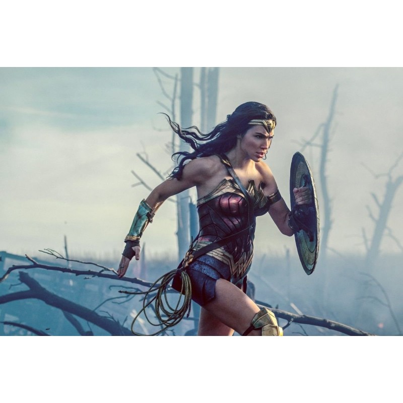 Wonder Woman Amazon - Statue + Steelbook Wonder Woman Amazon - Statue + Steelbook