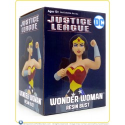 Diamond Select Toys DC Comics: ‘Justice League: The Animated Series’ Resin Bust Statue Wonder Woman 308/3000ex