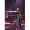Hot Toys MMS446 Star War Episode VIII Les Derniers Jedi Rey ( Daisy Ridley ) Jedi Training 1/6 Collectible Figurine 28cm