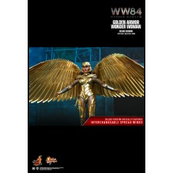Hot Toys MMS578 Wonder Woman 1984 Wonder Woman Golden Armor Version Gal Gadot 1/6 Collectible Figurine 30cm Deluxe Version