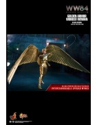 Hot Toys MMS578 Wonder Woman 1984 Wonder Woman Golden Armor Version Gal Gadot 1/6 Collectible Figurine 30cm Deluxe Version