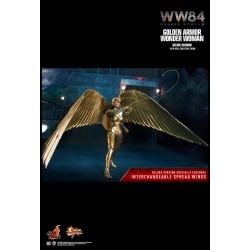 Hot Toys MMS578 Wonder Woman 1984 Wonder Woman Golden Armor Version Gal Gadot 1/6 Collectible Figurine 30cm Deluxe Version