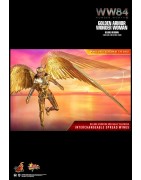 Hot Toys MMS578 Wonder Woman 1984 Wonder Woman Golden Armor Version Gal Gadot 1/6 Collectible Figurine 30cm Deluxe Version