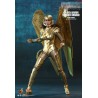 Hot Toys MMS578 Wonder Woman 1984 Wonder Woman Golden Armor Version Gal Gadot 1/6 Collectible Figurine 30cm Deluxe Version