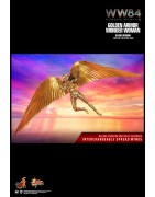 Hot Toys MMS578 Wonder Woman 1984 Wonder Woman Golden Armor Version Gal Gadot 1/6 Collectible Figurine 30cm Deluxe Version