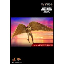 Hot Toys MMS578 Wonder Woman 1984 Wonder Woman Golden Armor Version Gal Gadot 1/6 Collectible Figurine 30cm Deluxe Version