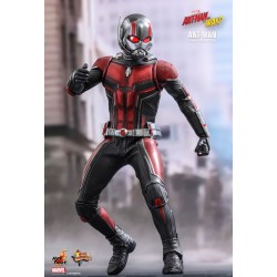 Hot Toys MMS497 Ant-Man & La Guêpe Ant-Man Paul Rudd 1/6 Collectible Figurine 30cm