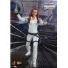 Hot Toys MMS601 Black Widow Action Figurine 1/6 Black Widow (Snow Suit Version) Collectible Figurine 28cm
