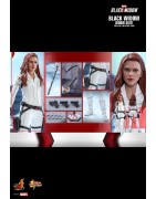 Hot Toys MMS601 Black Widow Action Figurine 1/6 Black Widow (Snow Suit Version) Collectible Figurine 28cm