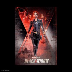 Displate - Black Widow - Poster - Limited Edition 349/1000ex