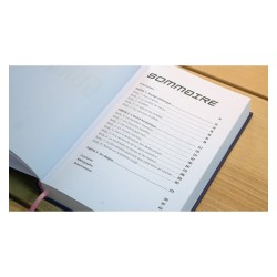 Gunnm : "Au coeur de Gunnm - la chair et l'acier - édition first print" - Third Edition