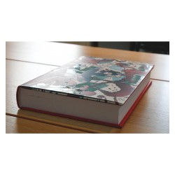Gunnm : "Au coeur de Gunnm - la chair et l'acier - édition first print" - Third Edition