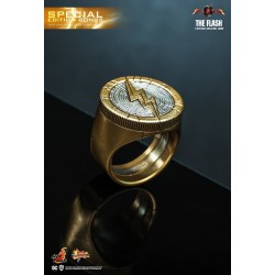 Hot Toys MMS713 The Flash Collectible Action Figurine 1/6 The Flash 30cm