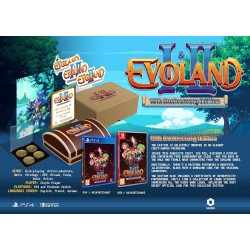 Evoland 1 & 2 10th Anniversary Edition PlayStation 4